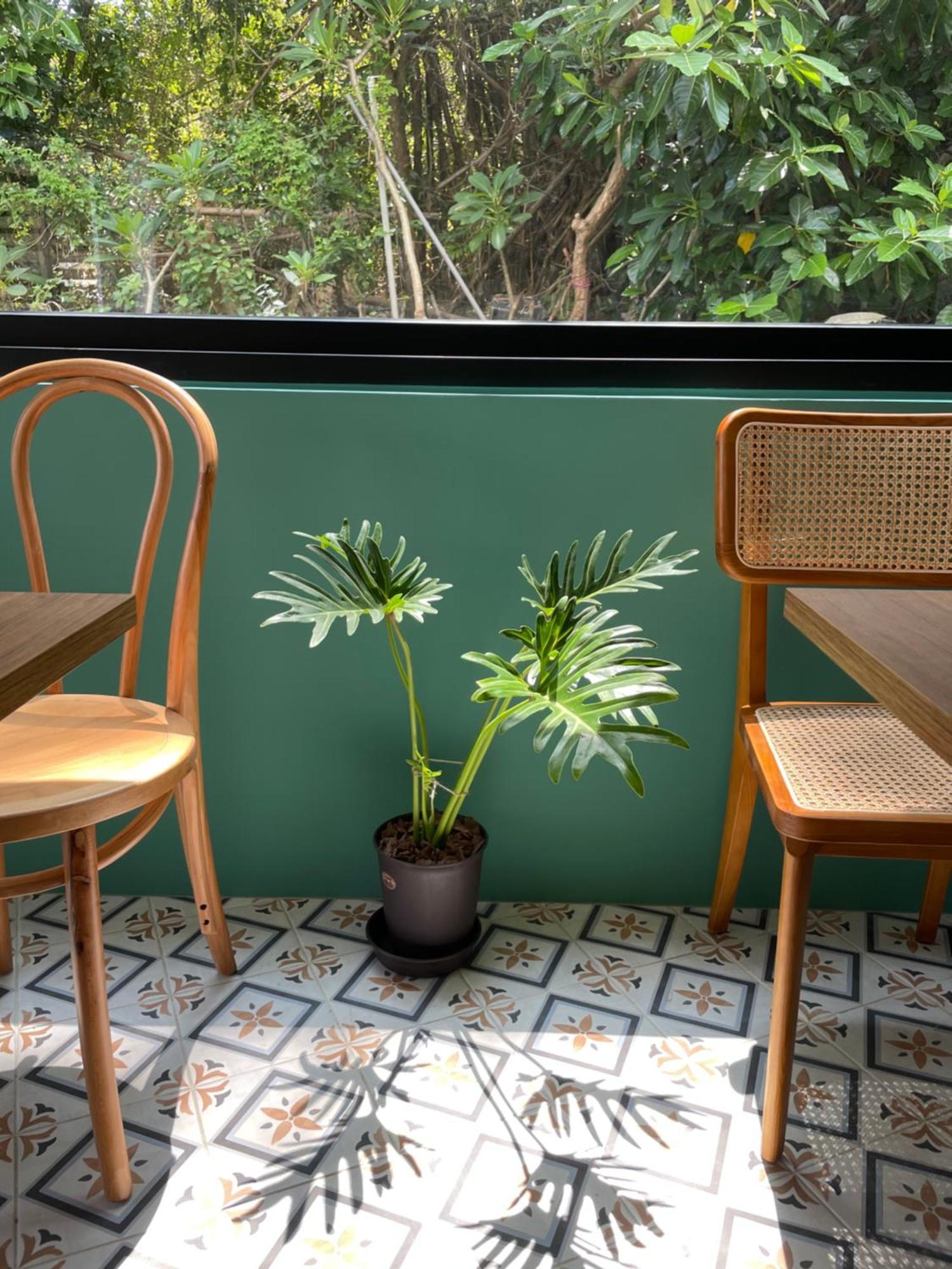 Lixia Hostel Xiaoliuqiu Εξωτερικό φωτογραφία